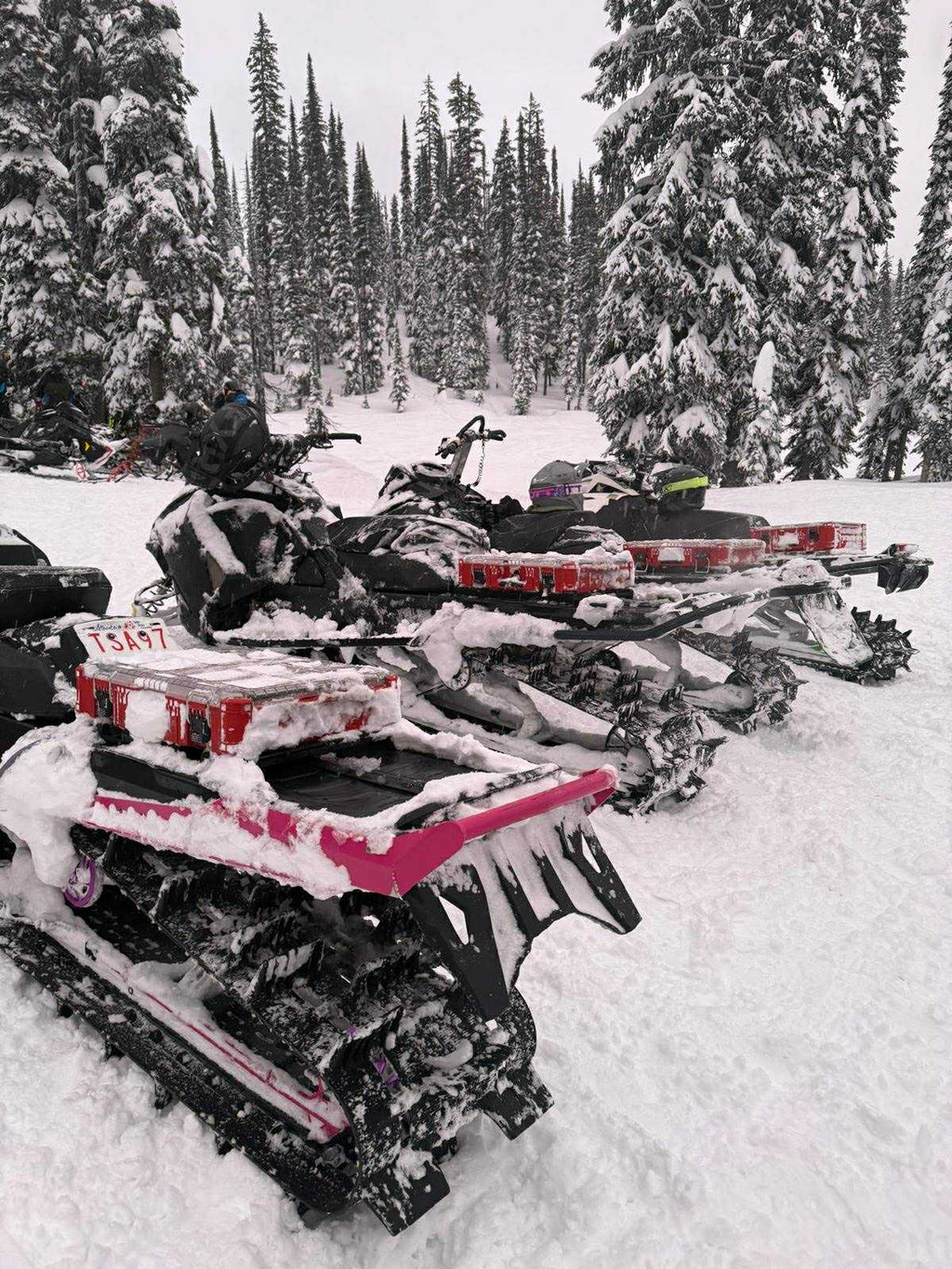 Packout Mount